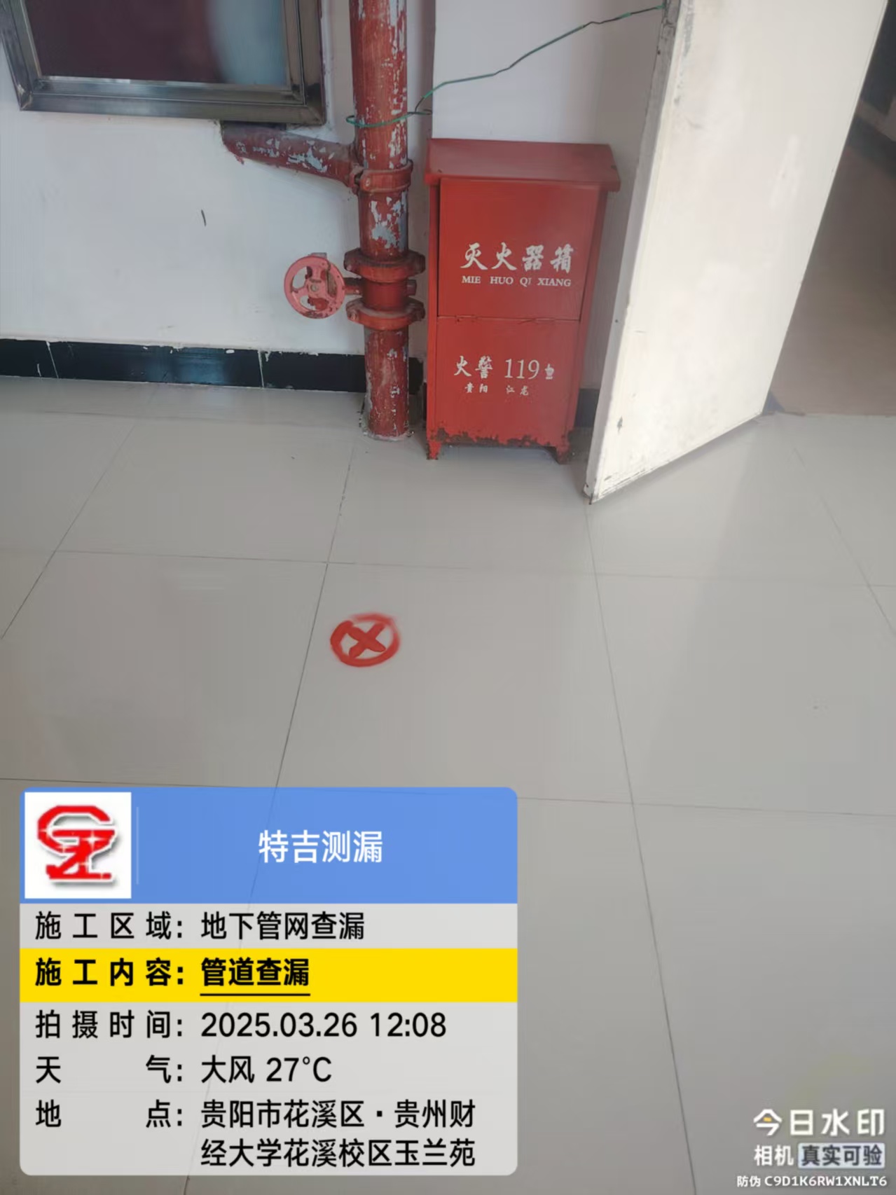 文章附圖