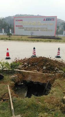 愛登堡電梯西南生產基地