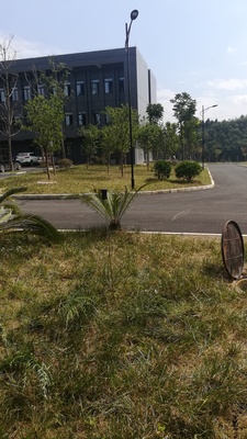蝦子鎮(zhèn)官倉污水處理廠給水管道漏水檢測