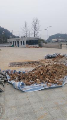 銅仁市碧江區(qū)笑哈哈中國中西部國際商貿(mào)物流城